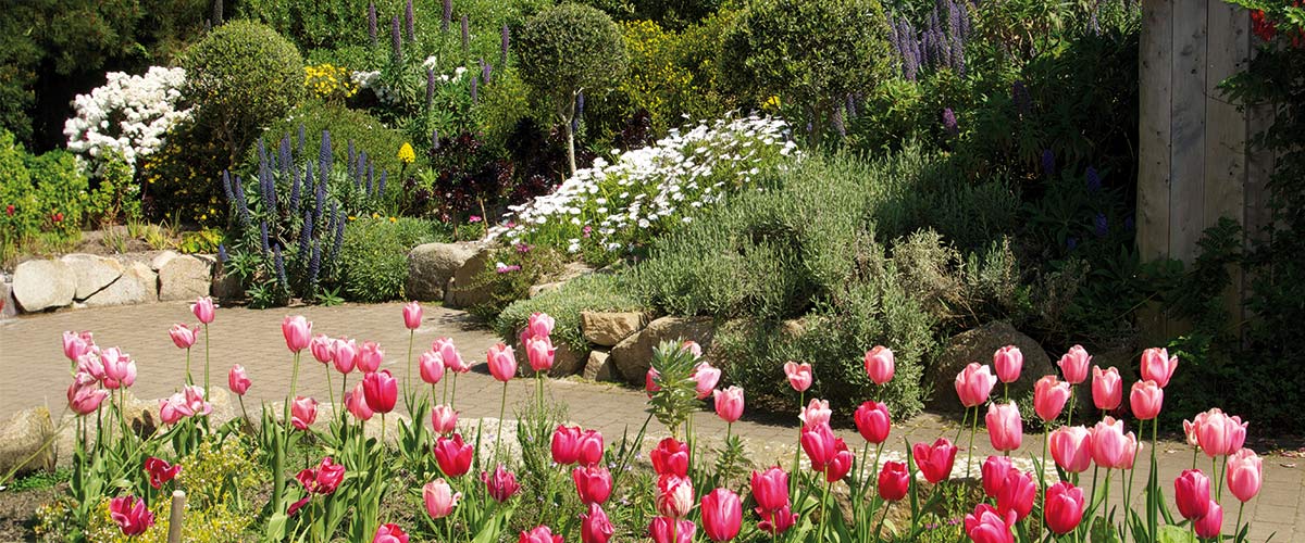 Tresco Abbey Gardens